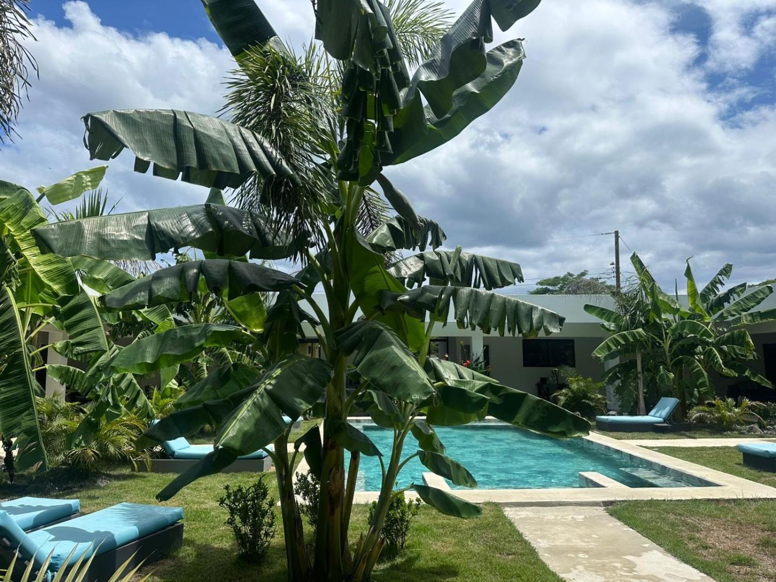 Hotel Good Life Coco Dış mekan fotoğraf